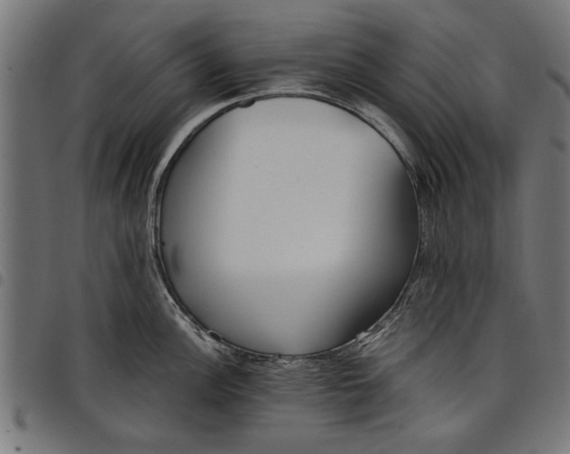 X0000097811148200803281052