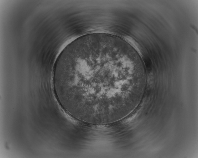 X0000097811149200803281052