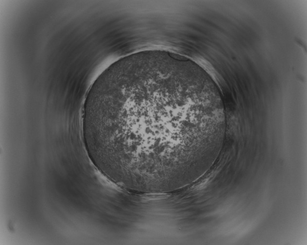 X0000097811151200803281052