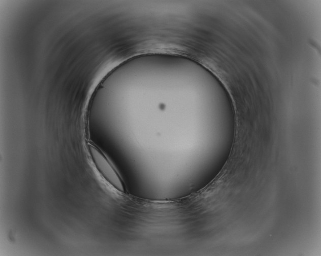 X0000097811152200803281052