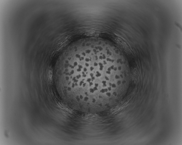 X0000097811154200803281051