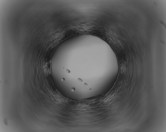 X0000097811156200803281051