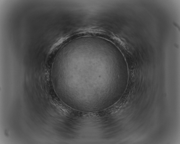 X0000097811159200803281051