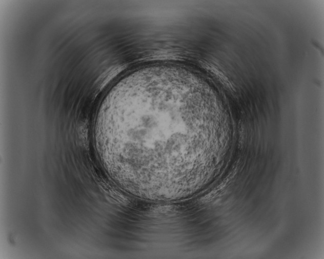 X0000097811162200803281051