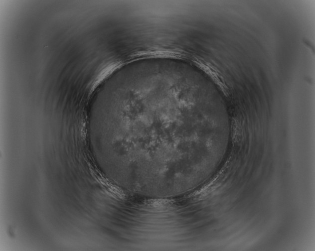 X0000097811163200803281051