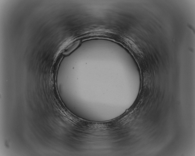 X0000097811164200803281051