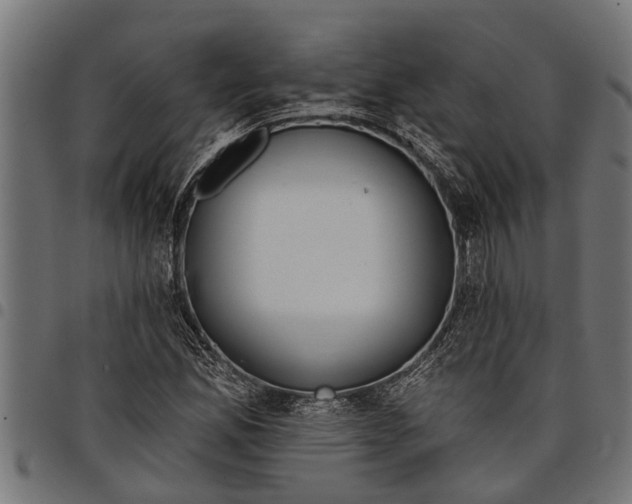 X0000097811165200803281051