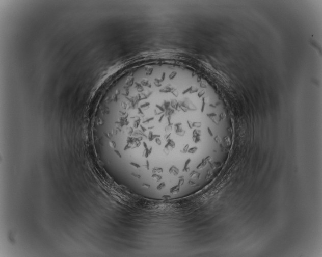 X0000097811166200803281051