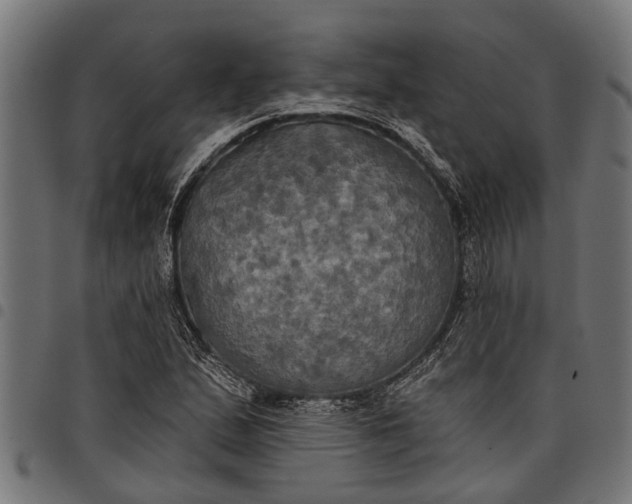 X0000097811167200803281051