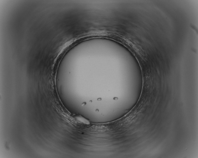 X0000097811168200803281051