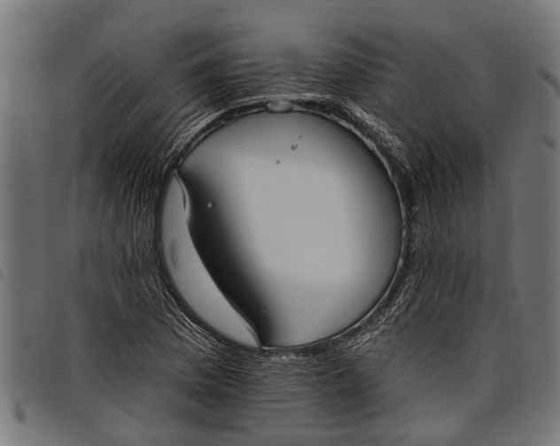 X0000097811169200803281051