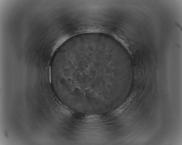 X0000097811171200803281051