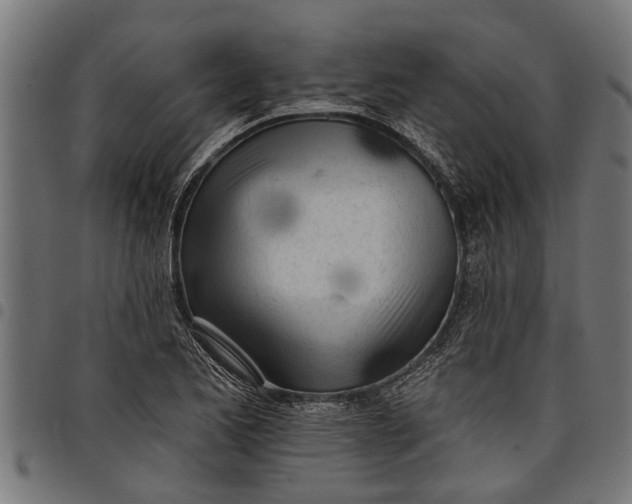 X0000097811173200803281051