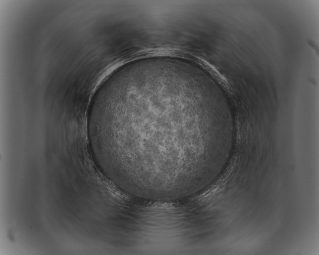 X0000097811174200803281051