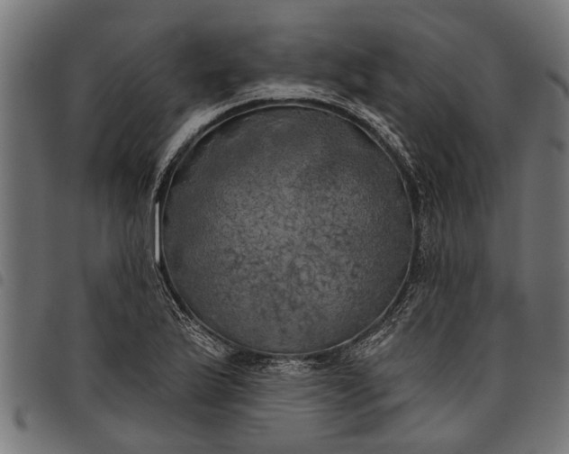 X0000097811175200803281051