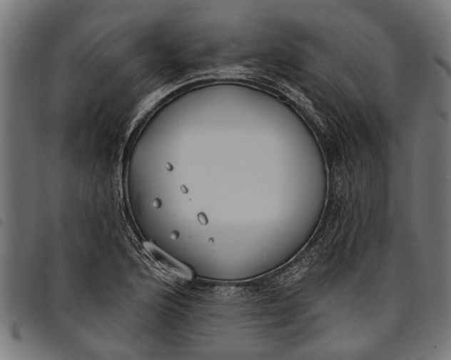 X0000097811176200803281051