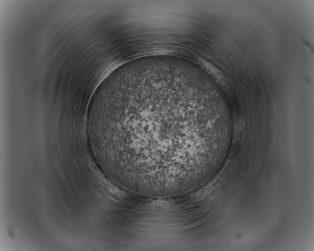 X0000097811178200803281051