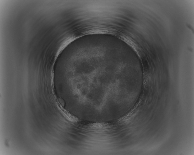 X0000097811179200803281051