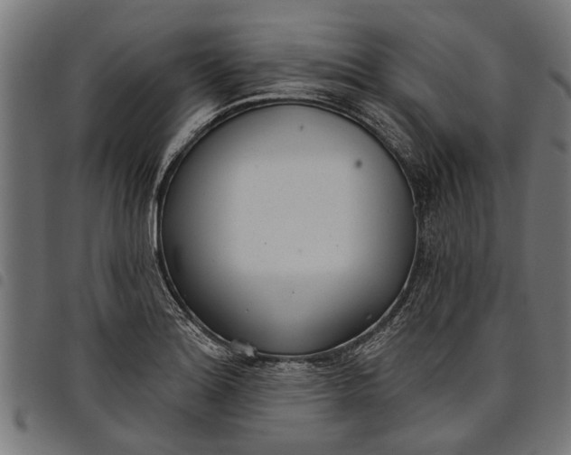 X0000097811180200803281051