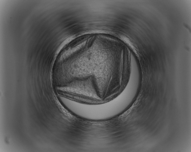 X0000097811181200803281051