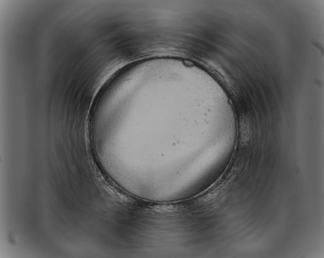 X0000097811182200803281051