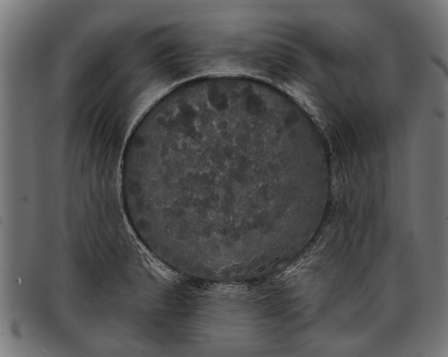 X0000097811183200803281051