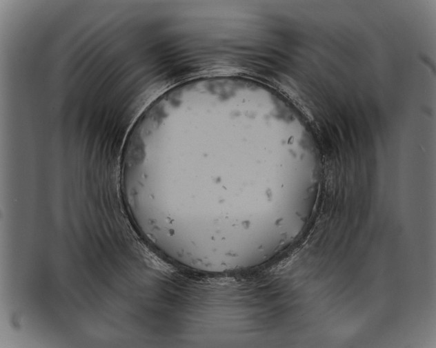 X0000097811186200803281051