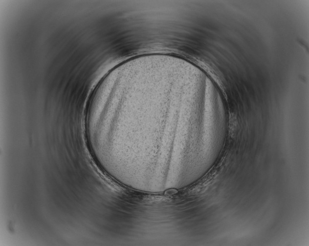 X0000097811187200803281051