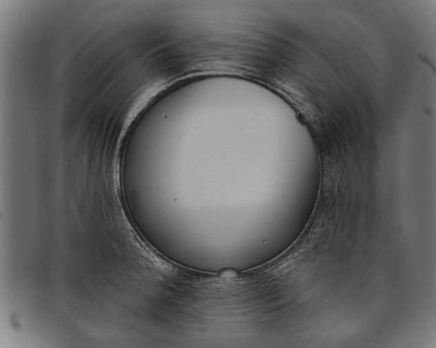 X0000097811188200803281051