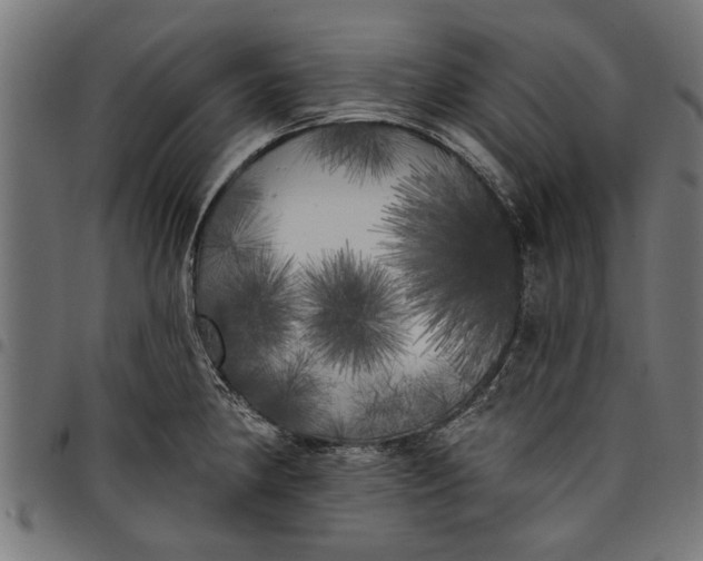 X0000097811190200803281051