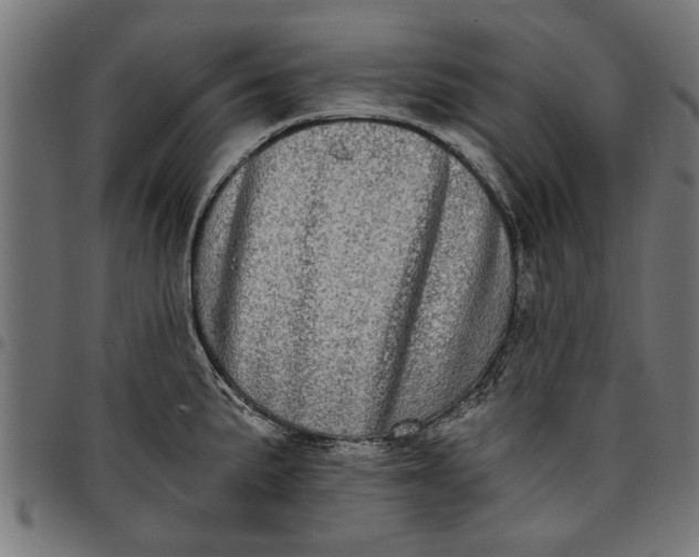 X0000097811191200803281051