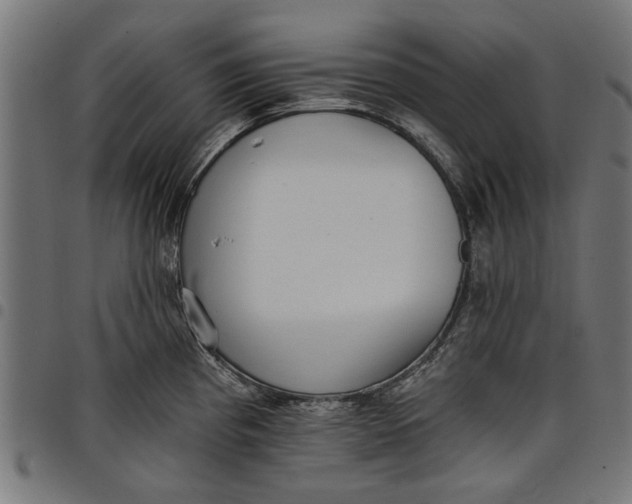 X0000097811193200803281051