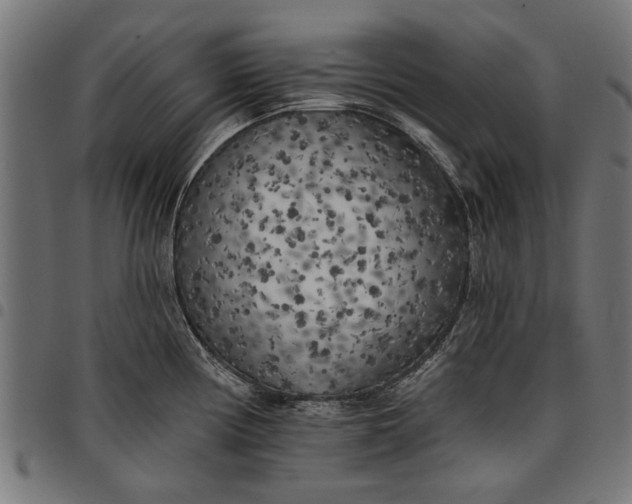 X0000097811194200803281051