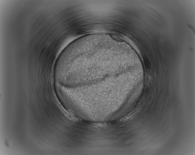 X0000097811195200803281051