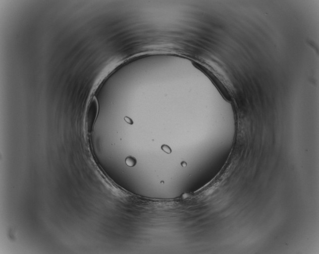 X0000097811196200803281051