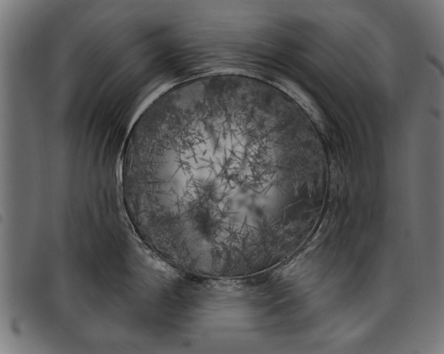 X0000097811198200803281051