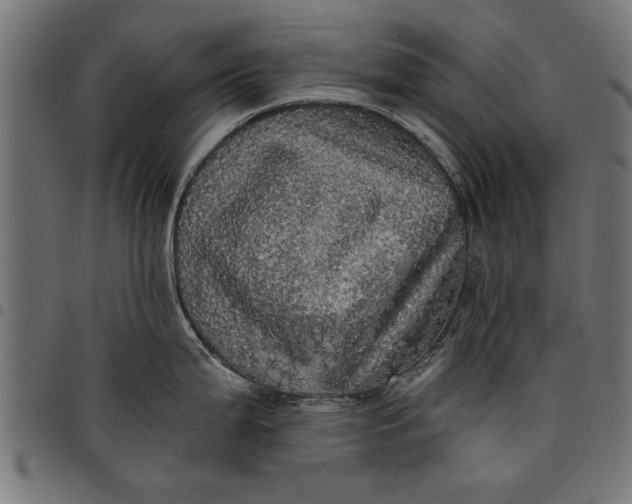 X0000097811199200803281051