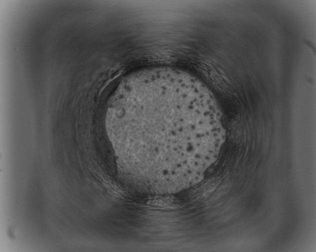 X0000097811201200803281050