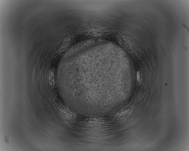 X0000097811203200803281050