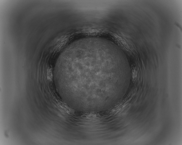 X0000097811204200803281050