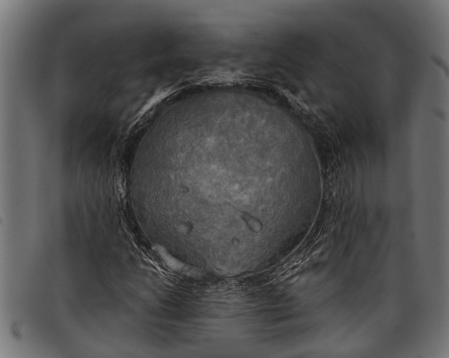 X0000097811206200803281050