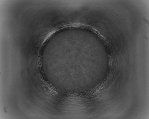 X0000097811208200803281050