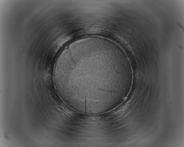 X0000097811210200803281050