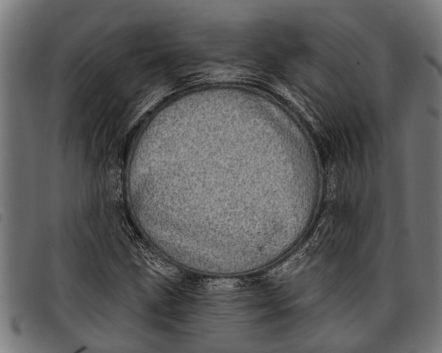 X0000097811211200803281050