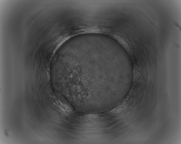 X0000097811212200803281050