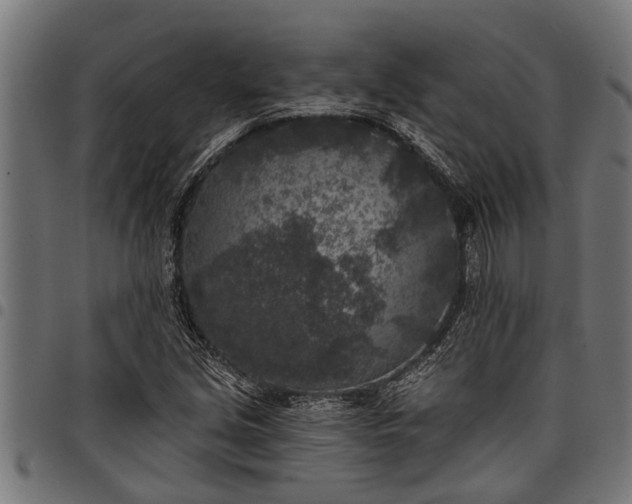 X0000097811213200803281050