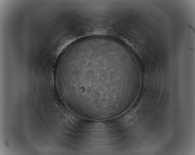 X0000097811214200803281050