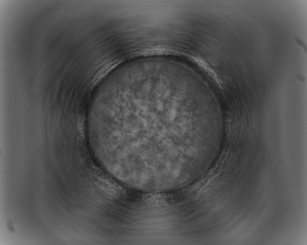 X0000097811217200803281050