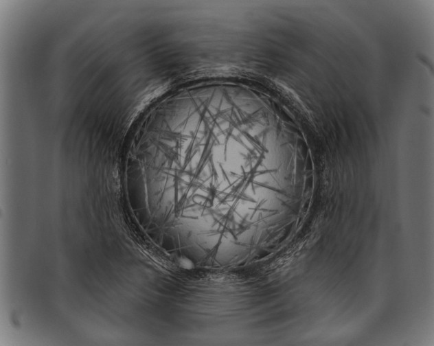 X0000097811218200803281050