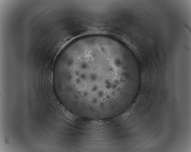 X0000097811220200803281050